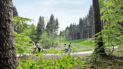center-parcs-les-3-forets
