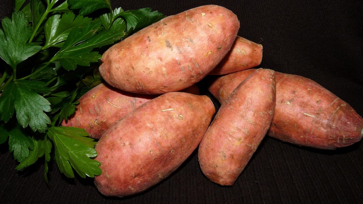 patate-douce