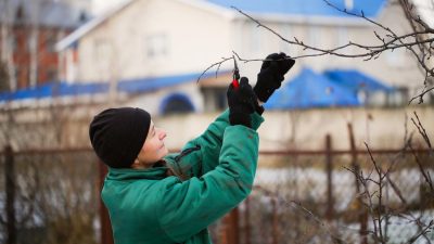 femme-travail-hiver