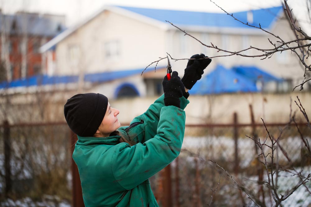 femme-travail-hiver