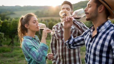 amis deguste vin dans vignoble
