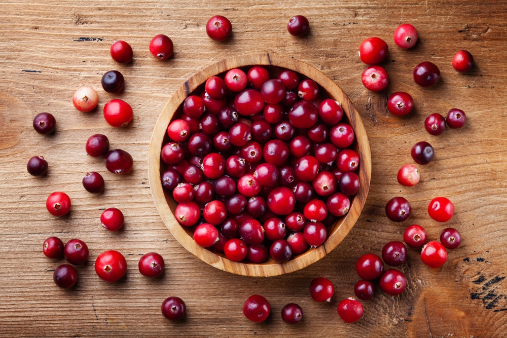 canneberges cranberries